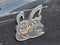 2026 Dodge Charger CHARGER SCAT PACK 4-DOOR AWD