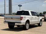 2013 Ford F-150 Platinum
