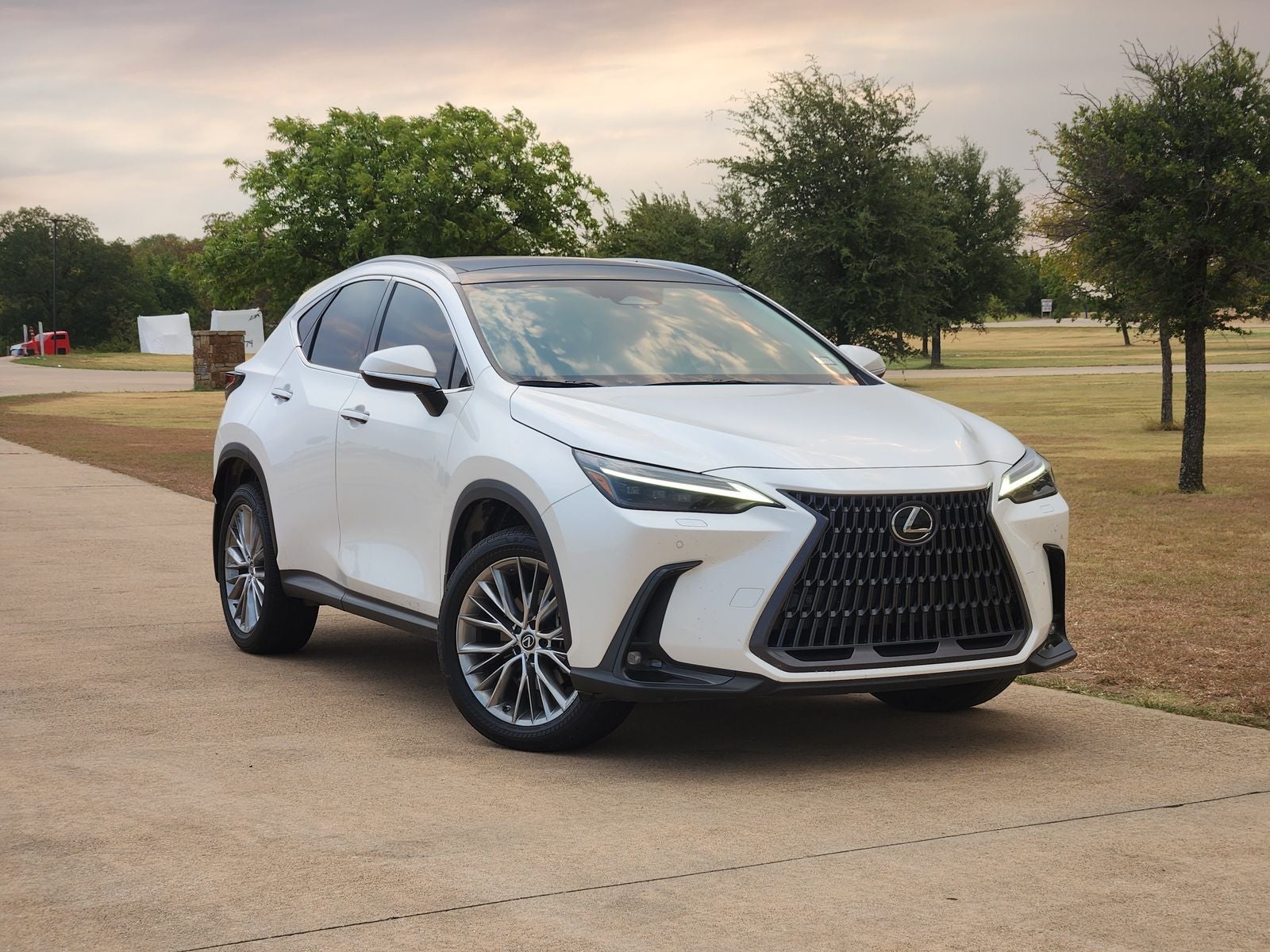 2023 Lexus NX 350h Luxury